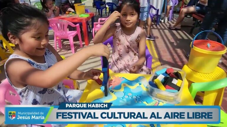 Guía de Seguridad Personal en Festivales al Aire Libre