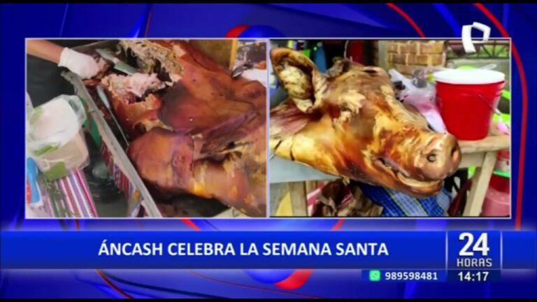 Diversidad Gastron&oacute;mica en Festivales de Comida