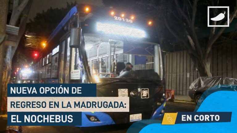 Gu&iacute;a de Transporte Colectivo para Festivales y Eventos