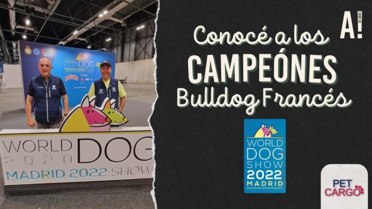 Encuentros Inolvidables entre Mascotas en un Evento