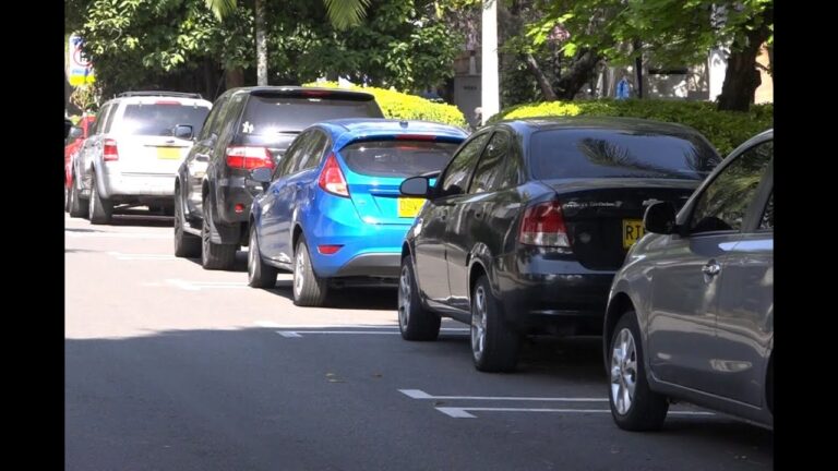 Estacionamiento Vigilado: Seguridad en Festivales de M&uacute;sica