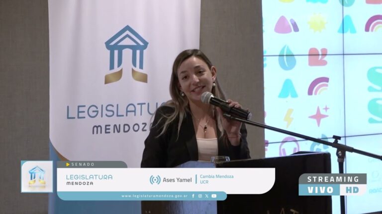 Energ&iacute;as Renovables en Festivales Sostenibles: Innovaci&oacute;n y Compromiso Ambiental