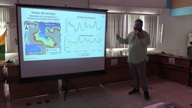 Creando Zonas de Relajaci&oacute;n en Eventos