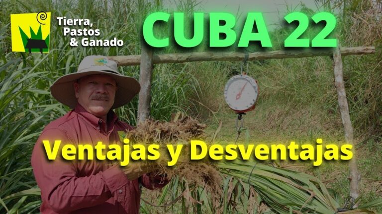 Gu&iacute;a para un Comportamiento Adecuado en la Zona de Acampada