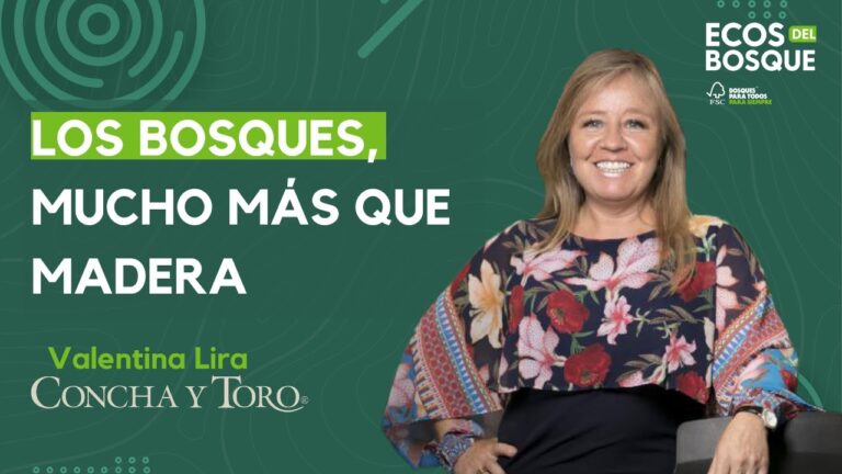 Impacto Positivo de la Sostenibilidad en los Bosques