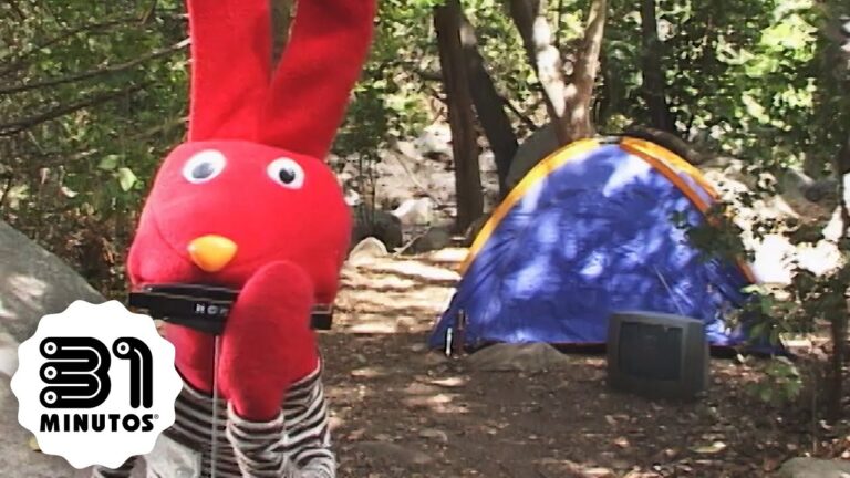Conexi&oacute;n Natural en Festivales de Camping