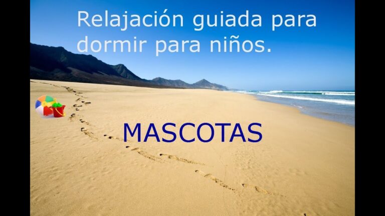 Rinc&oacute;n de Relajaci&oacute;n: Amor y Bienestar para Mascotas