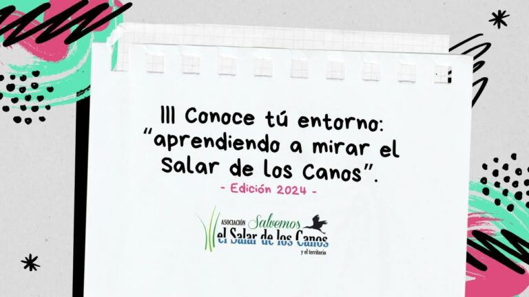 Acampar en la Naturaleza: Gu&iacute;a para Festivales