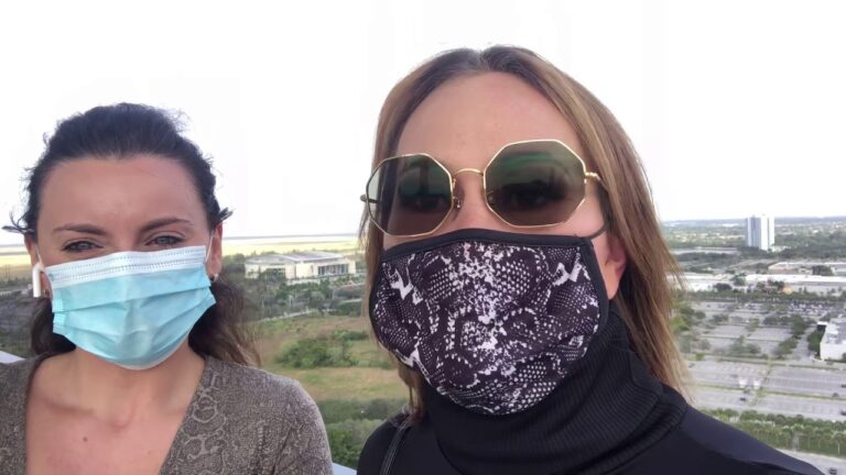 Comida Saludable para Mascotas en Eventos al Aire Libre