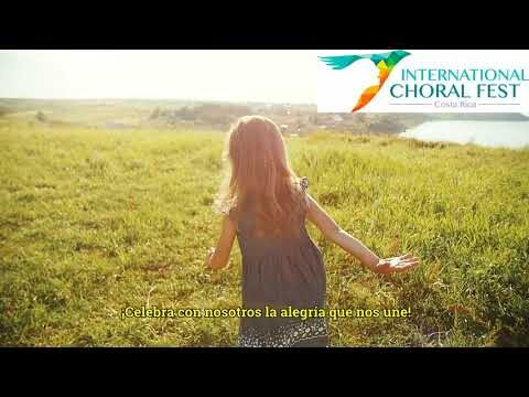 Festival de Paz: Disfrutando la Tranquilidad en la Celebraci&oacute;n