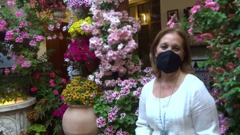 Decoraci&oacute;n Natural para Festivales: Belleza y Creatividad