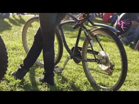 Ecolog&iacute;a y M&uacute;sica: La Sinfon&iacute;a de los Festivales de Verano