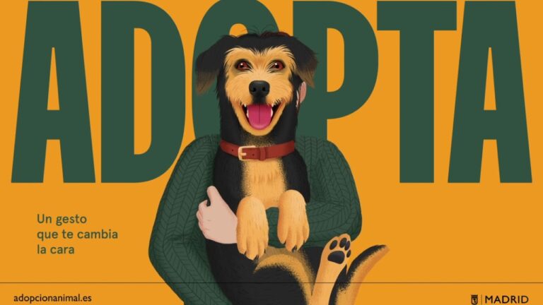 Adopta una Mascota en el Festival de Animales