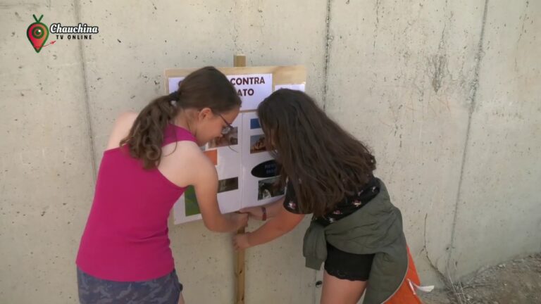 Festival de Talleres: Educaci&oacute;n sobre Mascotas