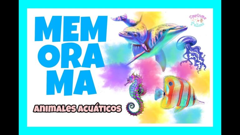 Juegos Acu&aacute;ticos Divertidos para Mascotas en Festivales