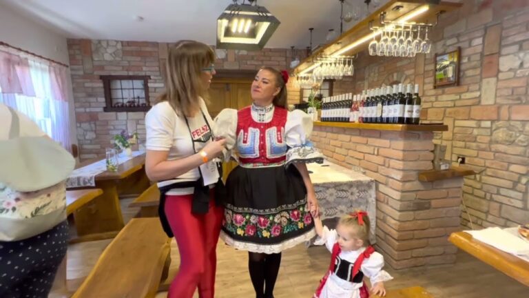 Festival de Degustaci&oacute;n de Vinos Regionales