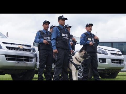 Estrategias Efectivas para el Control de Multitudes en Eventos