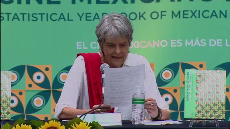 Pol&iacute;ticas de Acceso para Periodistas en Festivales: Claves y Desaf&iacute;os