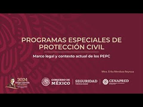 Normas de Seguridad para Voluntarios en Eventos Masivos