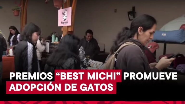 Festival de Adopci&oacute;n de Mascotas Rescatadas: Un Nuevo Comienzo