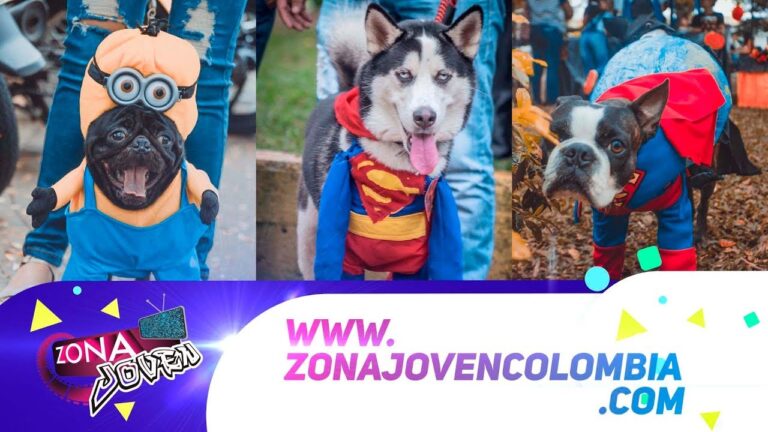 Festival Pet-Friendly: Diversi&oacute;n para Todos en un Solo Lugar
