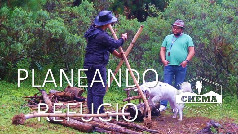 Refugio Ideal en un Festival al Aire Libre
