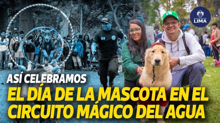 Actividades Recreativas para Mascotas en Eventos