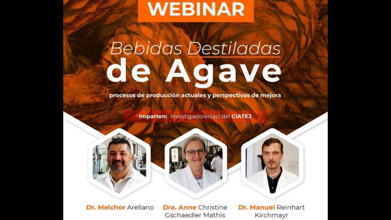 Innovaci&oacute;n en Bebidas: Redefiniendo el Tequila Tradicional