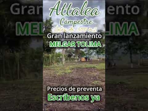 Descubre el Momento de Tranquilidad en la Zona de Hamacas
