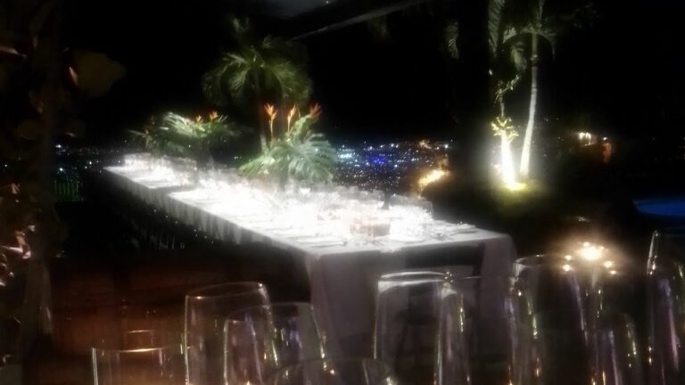 Maridaje Perfecto de Bebidas para Eventos Especiales
