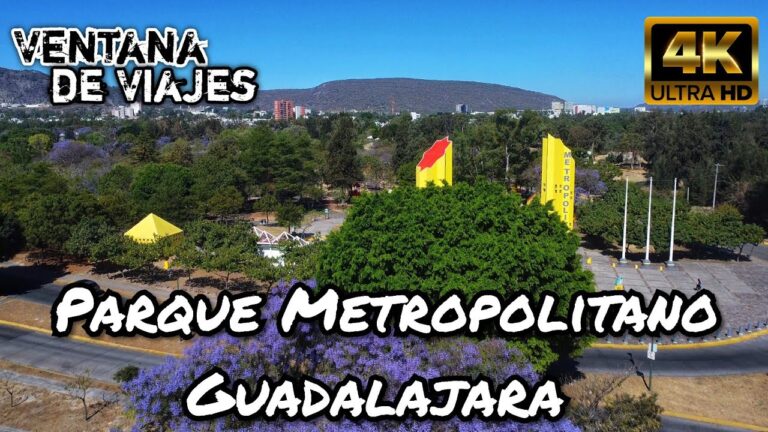 Espacios de Descanso y Picnic en Festivales: Un Refugio para Disfrutar