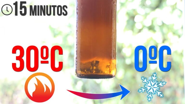 Consejos para Mantener tu Botella de Agua Fr&iacute;a en un Festival