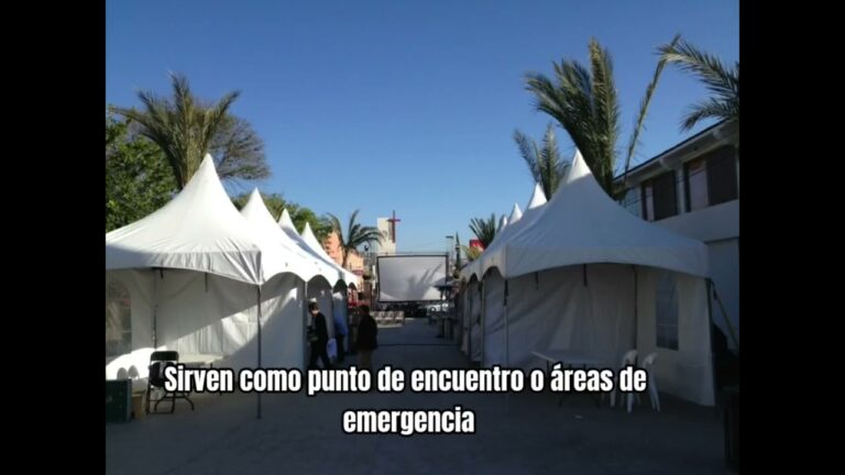 Conexi&oacute;n con la Naturaleza en Festivales al Aire Libre