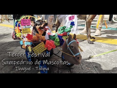Cultura y Alegr&iacute;a: Comparsas de Mascotas en Desfiles Festivos