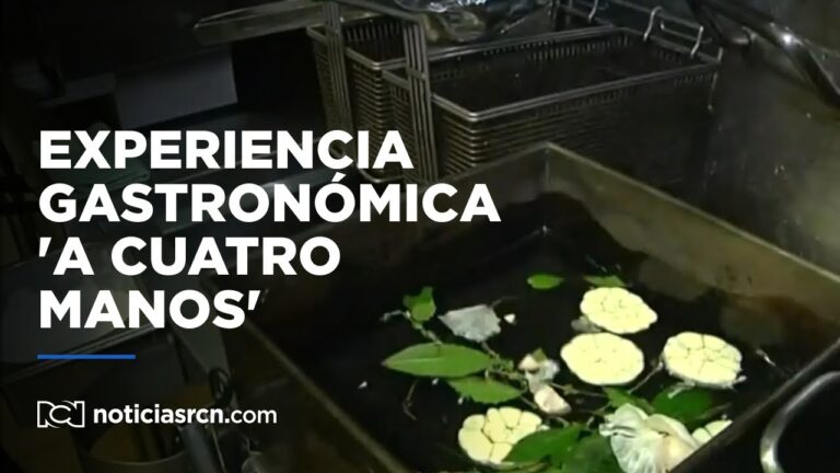 Delicias Culinarias: La Experiencia Gastron&oacute;mica en Festivales