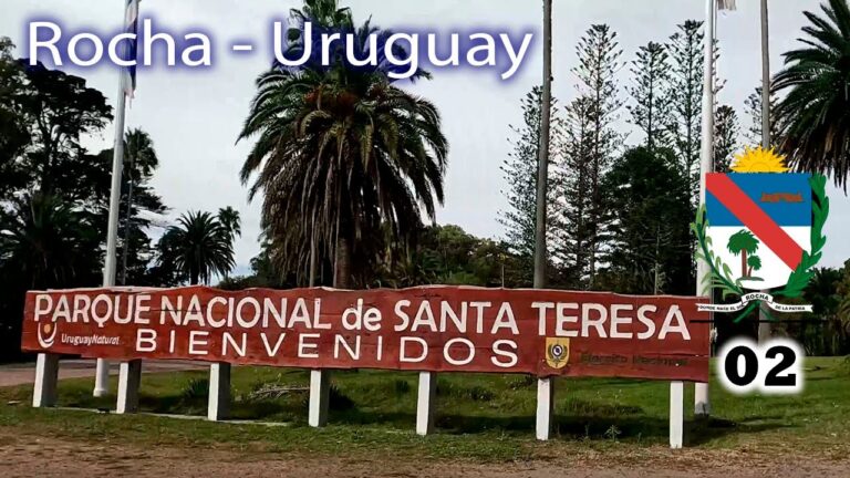 &Aacute;reas de Camping Naturales en Festivales