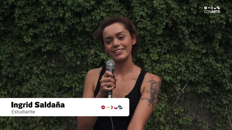 C&oacute;mo sumarse como voluntario en un festival