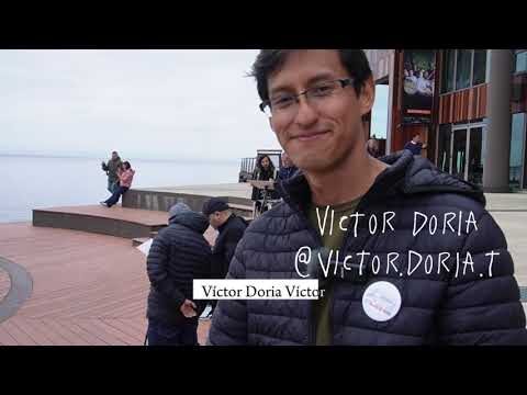Estilo de Artistas en Festivales de Dise&ntilde;o
