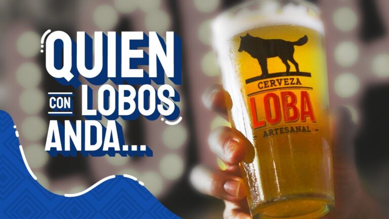 Delicias para Saborear en un Festival de Cerveza Artesanal
