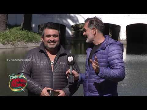 Impacto del Clima en Festivales al Aire Libre