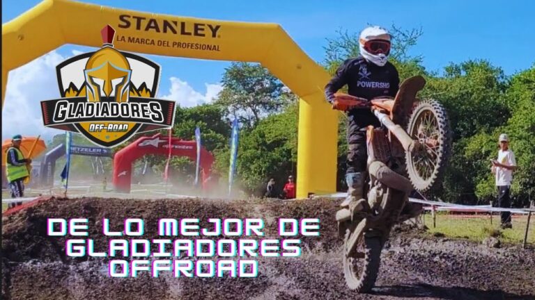 Inmersi&oacute;n Total: M&uacute;sica en Vivo y Experiencia de Camping
