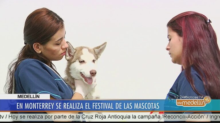 Festival de Mascotas: Diversi&oacute;n y Actividades para Due&ntilde;os y sus Compa&ntilde;eros