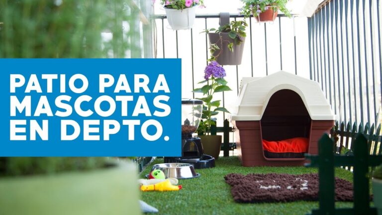 &Aacute;rea de Descanso para Animales en Eventos
