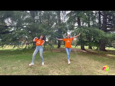 Momentos Inolvidables de Baile en Grupo con Amigos