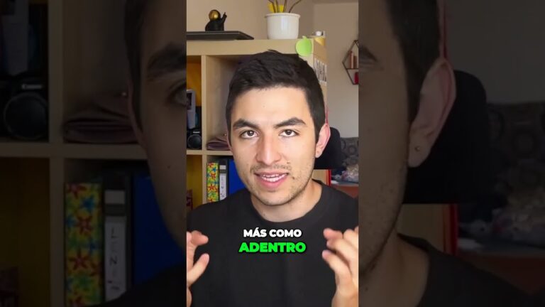 Procedimientos de Entrada en Festivales para Asegurar la Seguridad