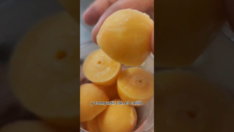 El Sabor &Uacute;nico de los Platillos de Food Trucks en Festivales