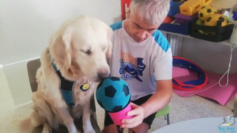 Mascotas Consentidas: La Estrella de los Festivales