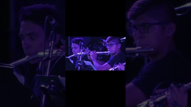 Momentos Inolvidables en un Festival Cultural