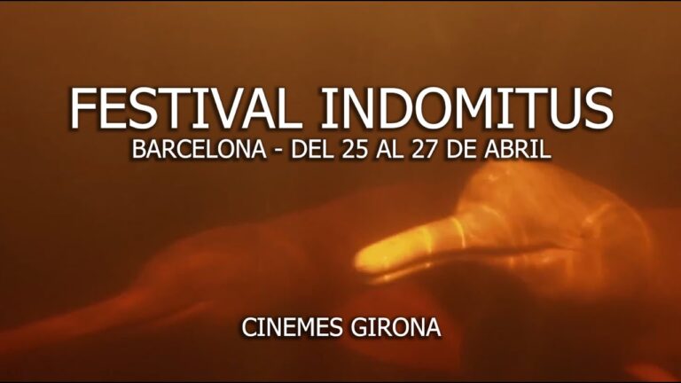 Viviendo la Aventura del Camping en Festivales