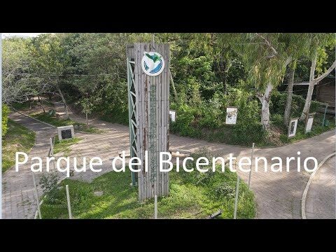 Conciencia Ambiental en Sanitarios de Festivales